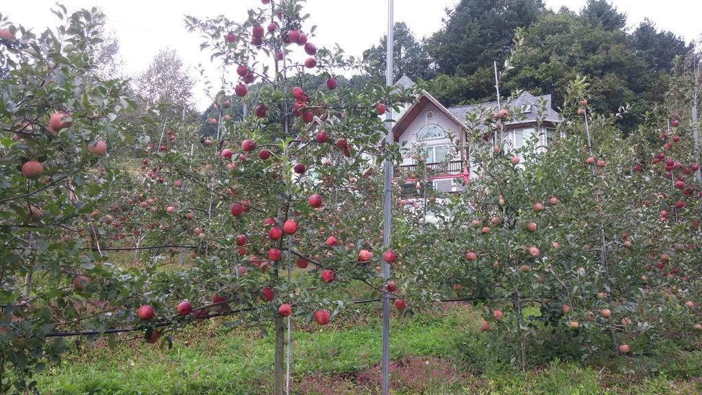 平昌快乐的梦旅馆别墅 外观 照片