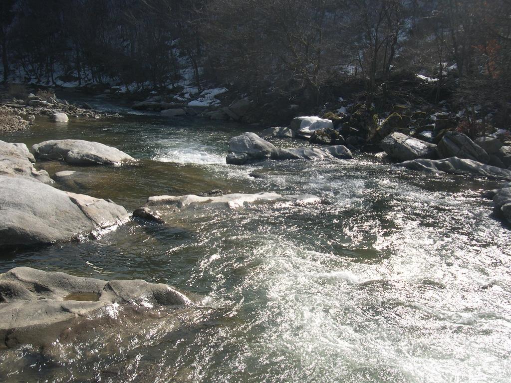 平昌快乐的梦旅馆别墅 外观 照片